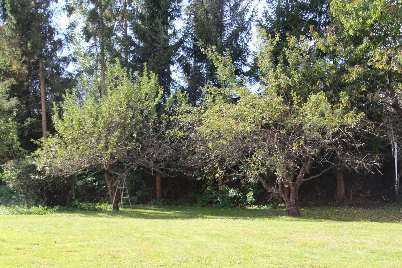 Narrenhaus Villa Fohnsdorf Kültér fotó